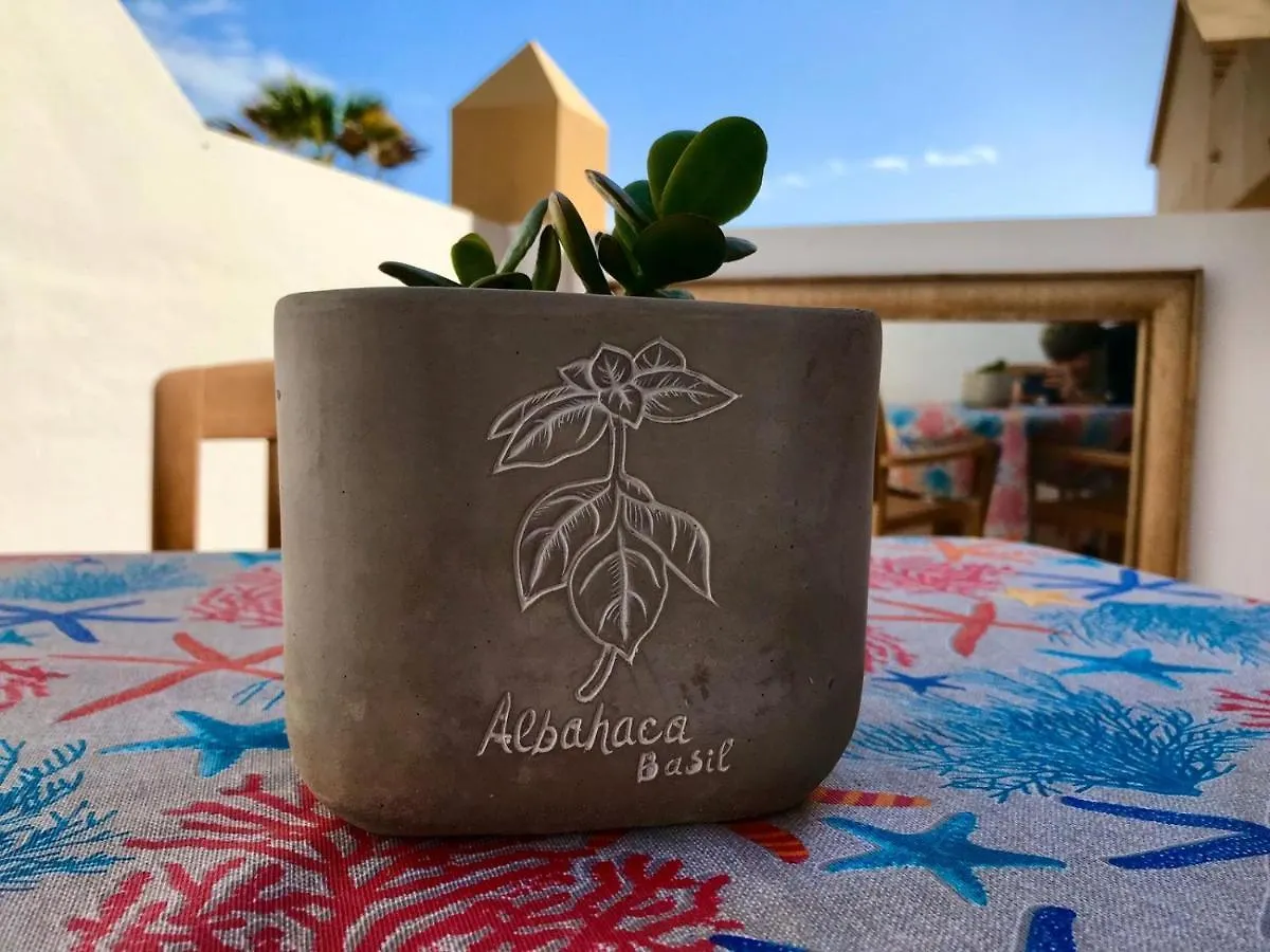 Appartamento Casa Molly Corralejo