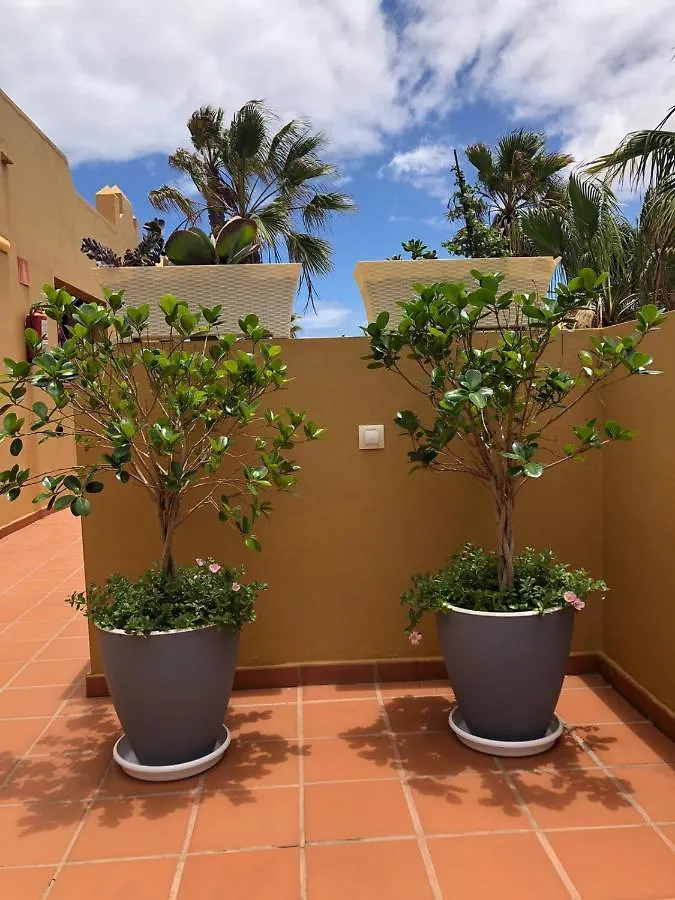 Apartmán Casa Molly Corralejo 0*,  Španělsko